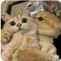 ba mẹ Tô