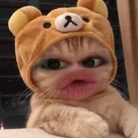tác giả ♥️. Chính