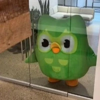 Mi nhìn tên tao làm gì, đi học bài nhanh