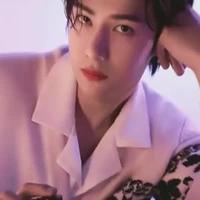 vương nhất Bác( bobo)