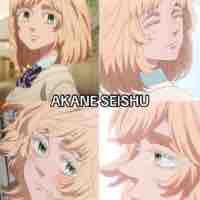 Saishu akane