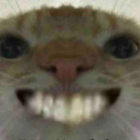 T/G 