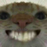 T/G 