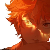 Hinata Shouyo - β