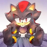 Shadow The Hedgehog (5 tháng tuổi)