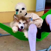 💞𝗮𝗹𝗽𝗵𝗮(𝗬𝗲̂́𝗻)🤍