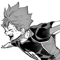 Hinata Shoyo