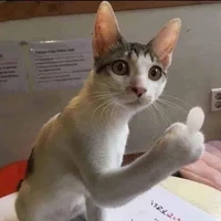Tác giả