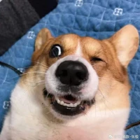 BoBo