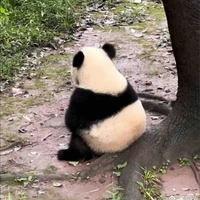 Nhỏ tác giả trầm kẻm