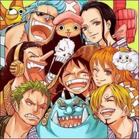 Robin, Nami, Zoro, sanji