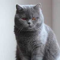 Luna (Lưu Nhã)