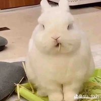 Tác giả vô tri 