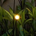 Light