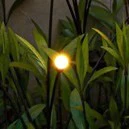 Light