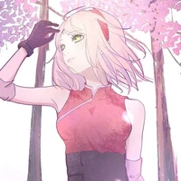 Haruno Sakura