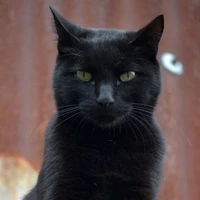 Kuro
