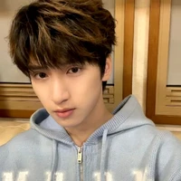 Nghiêm Hạo Tường