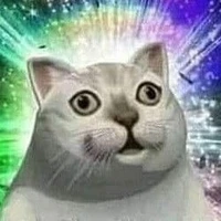 ? ? ?