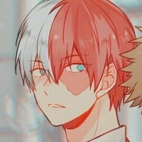 shoto todoroki