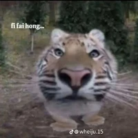 all(trừ những đứa cần trừ-)