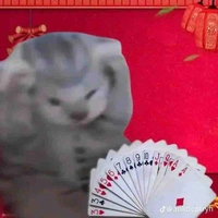 N.v.Bí Ẩn