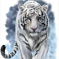 baby tiger (lúc lớn)