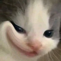 con tác giả cute hột me