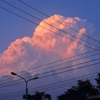 Tác giả
