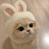 Sunshine - hệ thống