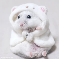 hệ thống 24 -Miyazaki