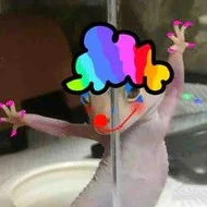 bạn học của Daniel