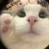 me