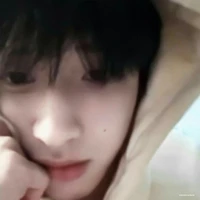 Nghiêm Hạo Tường