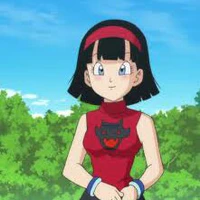 Videl