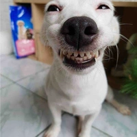 ? ? ?