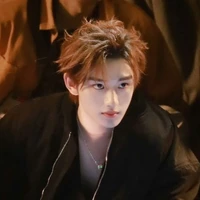 Đinh Tình Hâm