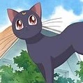 Luna ( mèo đen)