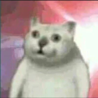 y/n