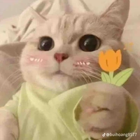 Trợ lí của t/g