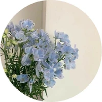 Tên Tui Là Hy ✌️