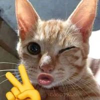 Có hiếu với gái