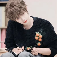 Hạ Tuấn Lâm