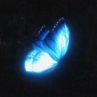 Ami ( hệ thống dạng hệ thống )