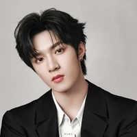 Lưu Diệu Văn - anh Bác Văn