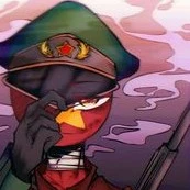 VietNam(Chiến dịch chọc tró)