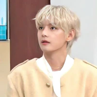 Kim Taehyung/V/김태