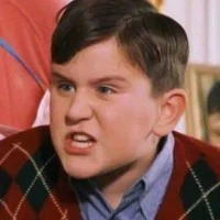 Dudley Dursley