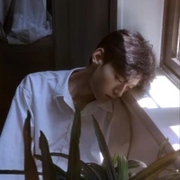 Tô Đình Huy
