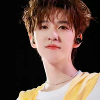 Hạ Tuấn Lâm